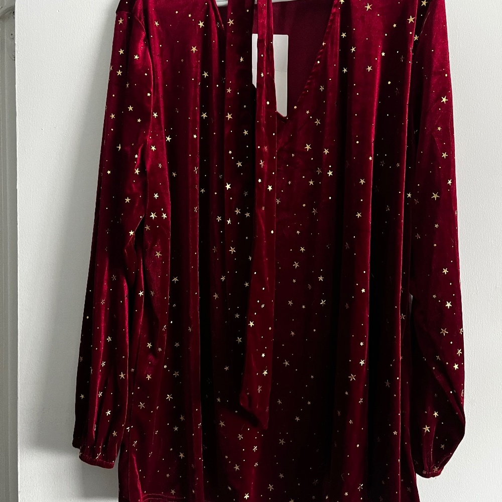 Bloom Chic red velvet shirt